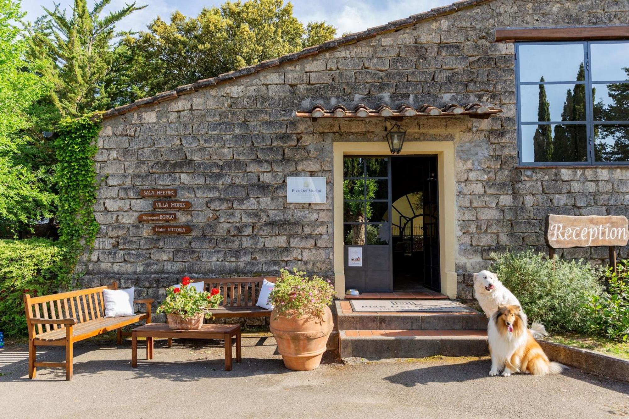 Residence With Swimming Pool Immersed In The Typical Tuscan Countryside Just 5 Minutes From Massa Marittima Podere Pian Mucini Exterior foto
